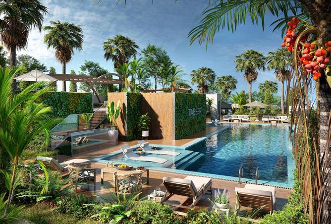 65570570 - Property Image 3