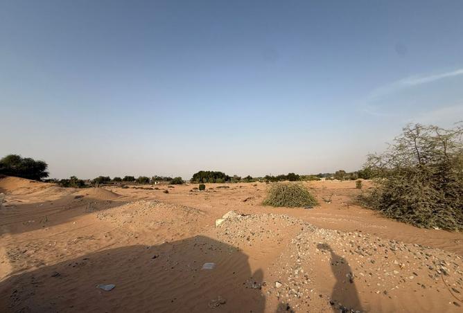 15282827 - صورة العقار 3