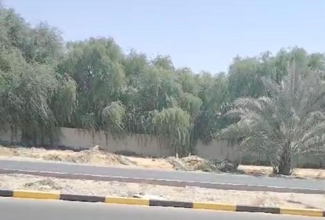 15290005 - صورة العقار 2