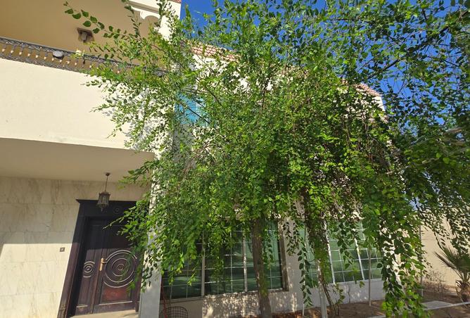 15305885 - Property Image 3