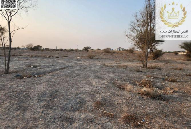 15309878 - صورة العقار 3