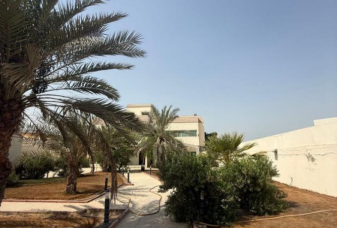 15314957 - صورة العقار 3