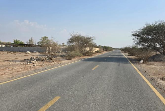 67444227 - صورة العقار 3