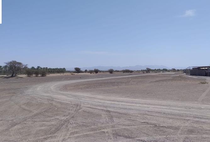 15332812 - Property Image 3