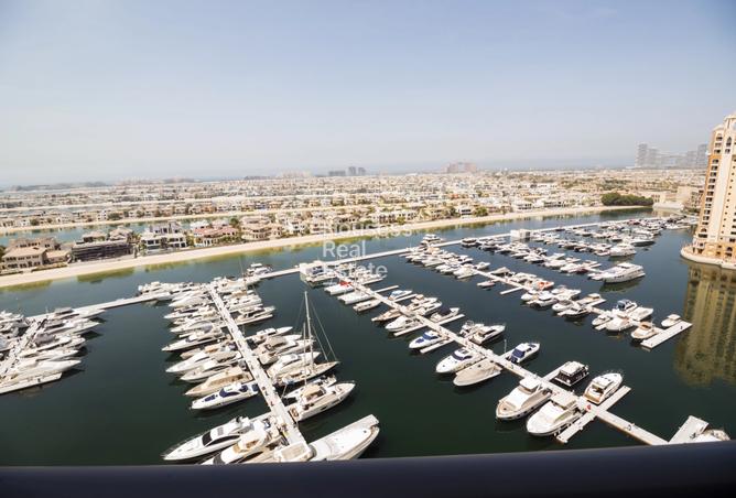 15353146 - صورة العقار 3