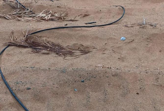 15368704 - صورة العقار 2