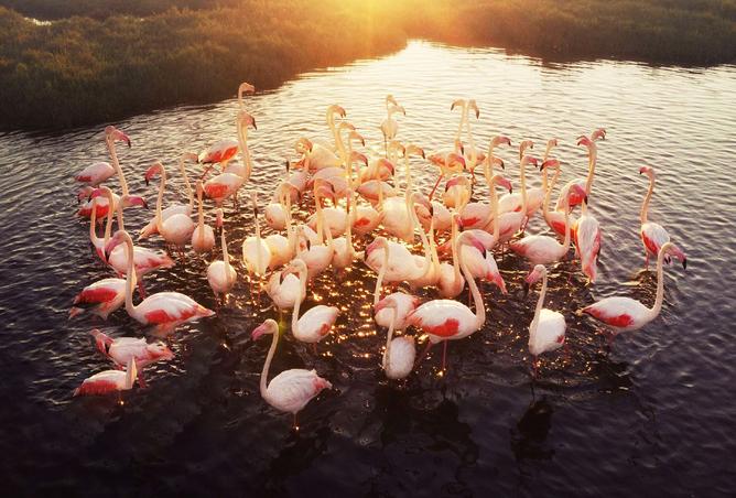 15376547 - الصورة الرئيسية للعقار