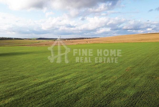 15379596 - Property Image 3