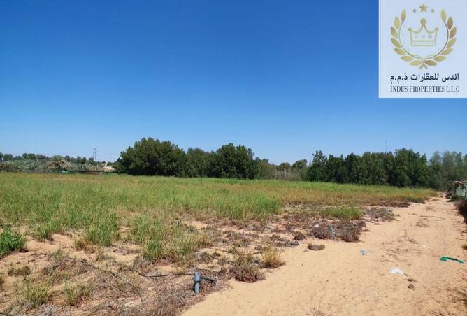 15391468 - صورة العقار 3