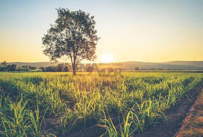 15397456 - Property Image 3