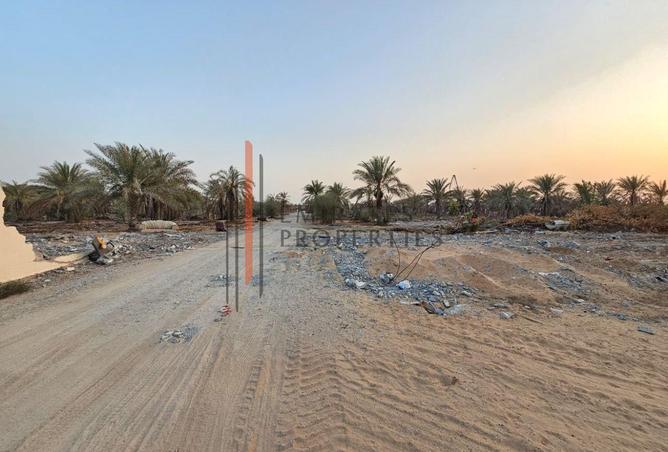 15411910 - صورة العقار 3