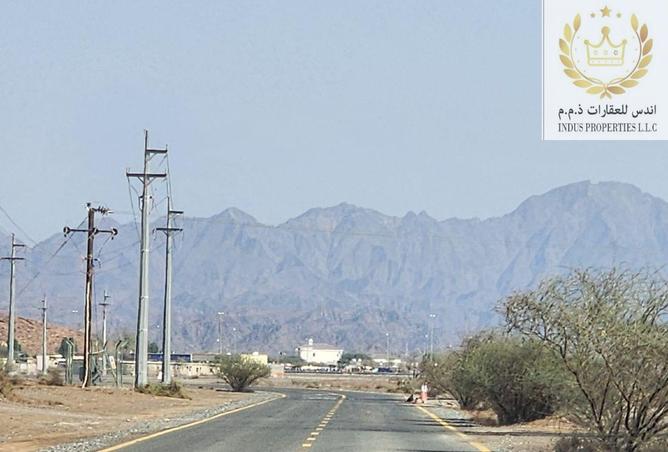 15414857 - صورة العقار 3