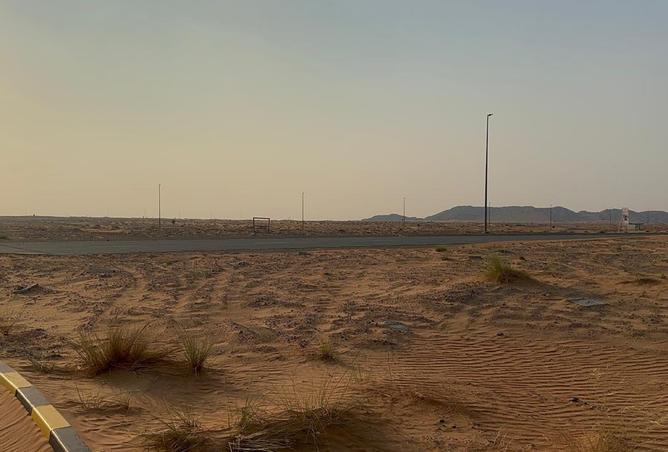 16143212 - Property Image 3