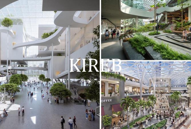 15446471 - صورة العقار 3