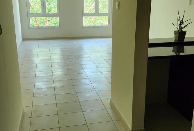 15561371 - Property Image 2