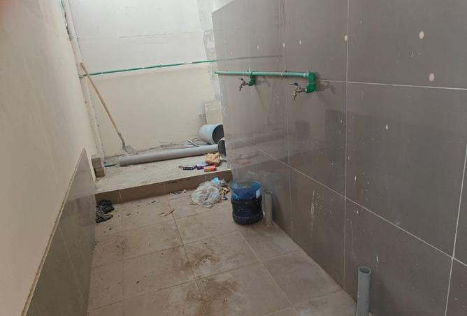 15454698 - Property Image 3