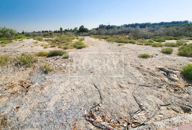 15455273 - صورة العقار 3