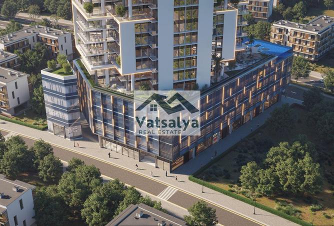 15456783 - Property Image 3