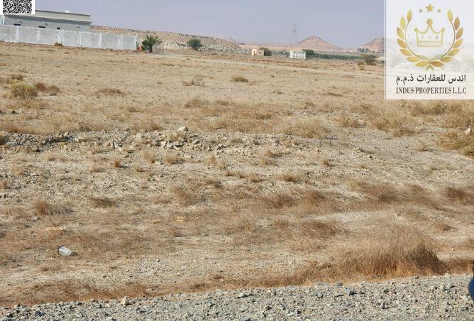 15469320 - Property Image 3