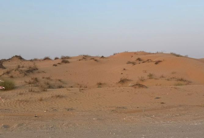 15493137 - صورة العقار 3