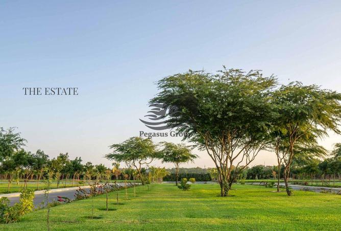 15500188 - صورة العقار 3