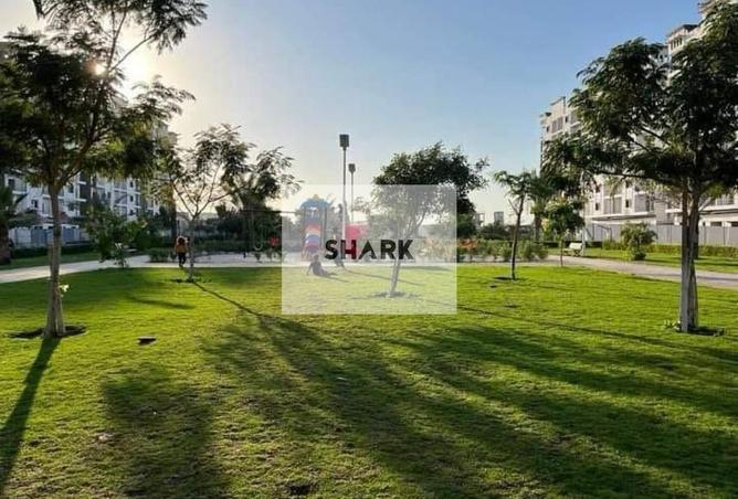 64441662 - Property Image 3