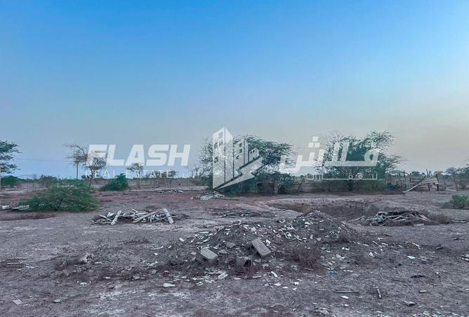 15524013 - صورة العقار 3