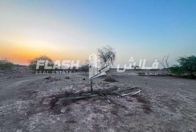 15524013 - صورة العقار 2