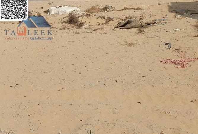 15533493 - صورة العقار 2