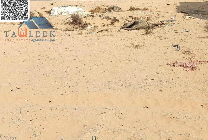 15535839 - الصورة الرئيسية للعقار