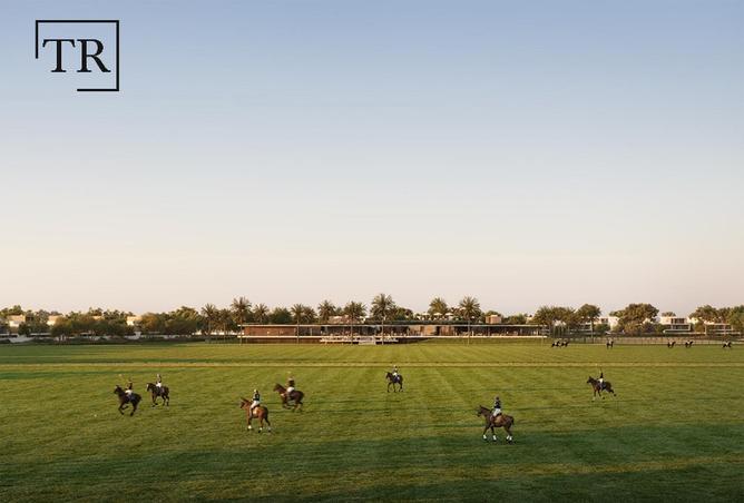 15536224 - صورة العقار 3