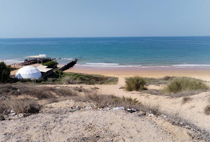 15548766 - صورة العقار 2