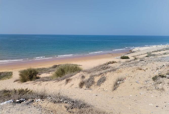 15548766 - الصورة الرئيسية للعقار