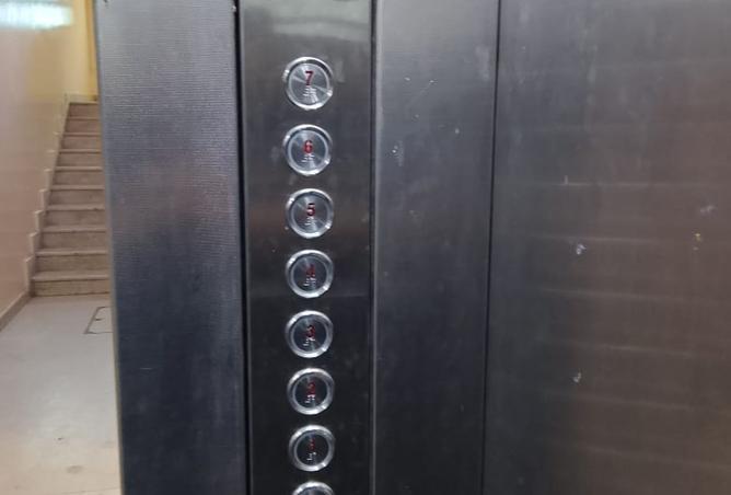 15545263 - Property Image 3