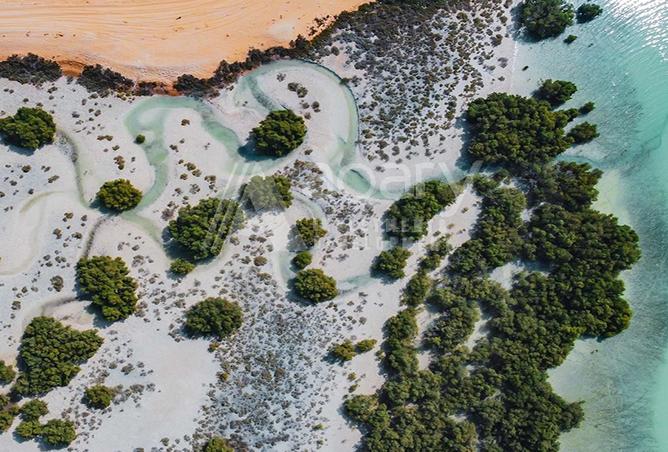 15565446 - صورة العقار 3