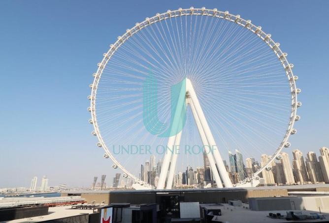 15552699 - صورة العقار 3