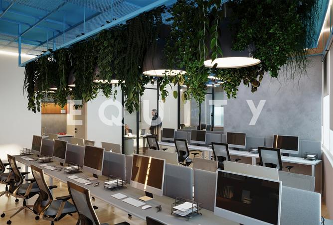 15557462 - Property Image 3