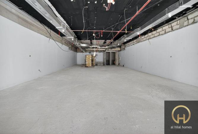 15557756 - Property Image 3