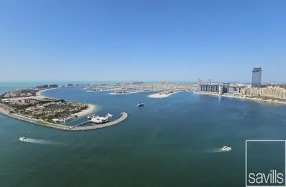 شقة - 3 غرف نوم - 4 حمامات للايجار في برج Beach Vista 1 - بيتش فيستا - إعمار بيتشفرونت - دبي هاربور - دبي
