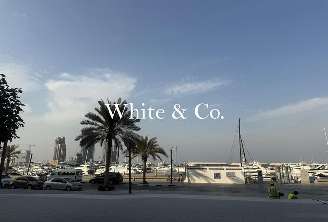 15561334 - Property Image 3