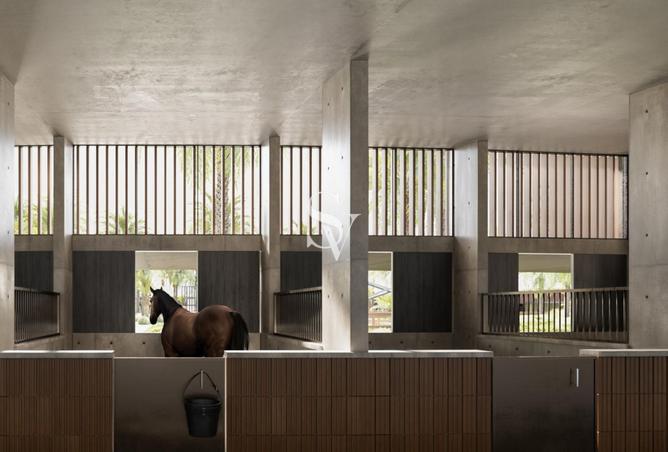 14161097 - Property Image 3