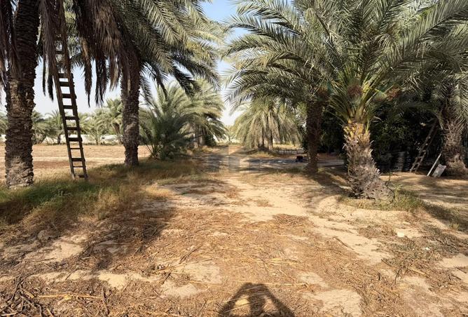 119480975 - صورة العقار 2