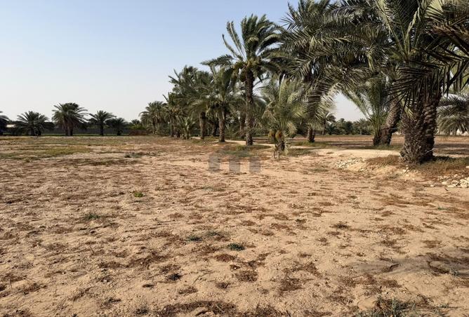 119480975 - صورة العقار 3