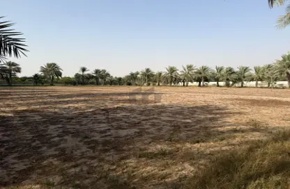 Farm - Studio for sale in Al Ajban - Abu Dhabi
