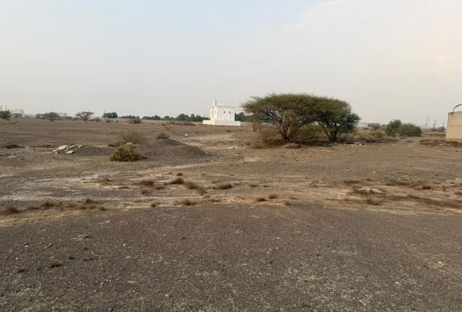 15575743 - صورة العقار 3