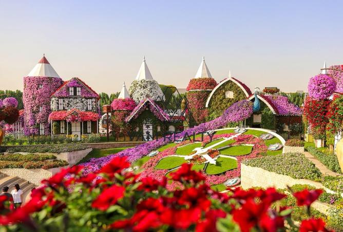 15719586 - Property Image 3