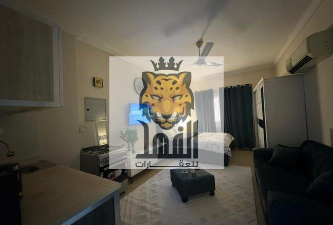 15585433 - Property Image 3