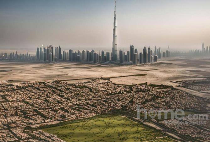 15594089 - Property Image 3