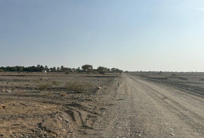 15595985 - صورة العقار 3