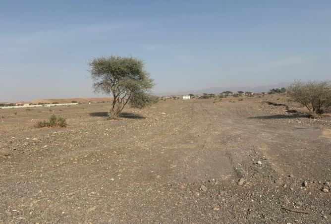 15596055 - صورة العقار 2